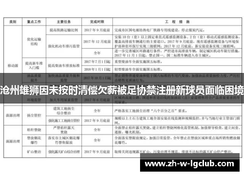 沧州雄狮因未按时清偿欠薪被足协禁注册新球员面临困境